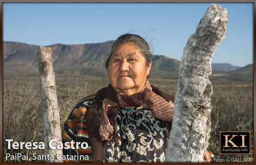 TERESA CASTRO PAI ARTIST PHOTOS Loading...