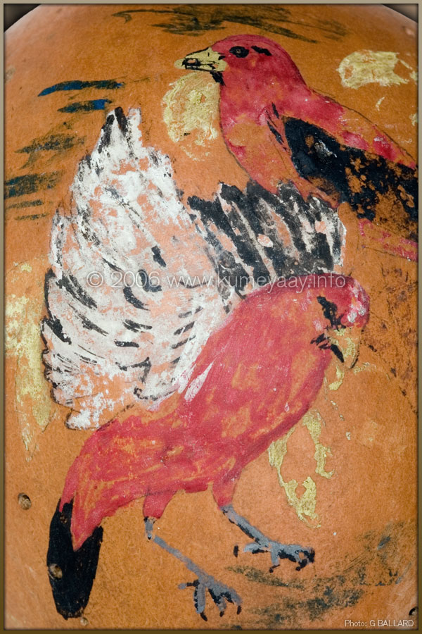 Loading Large Bird Picture...