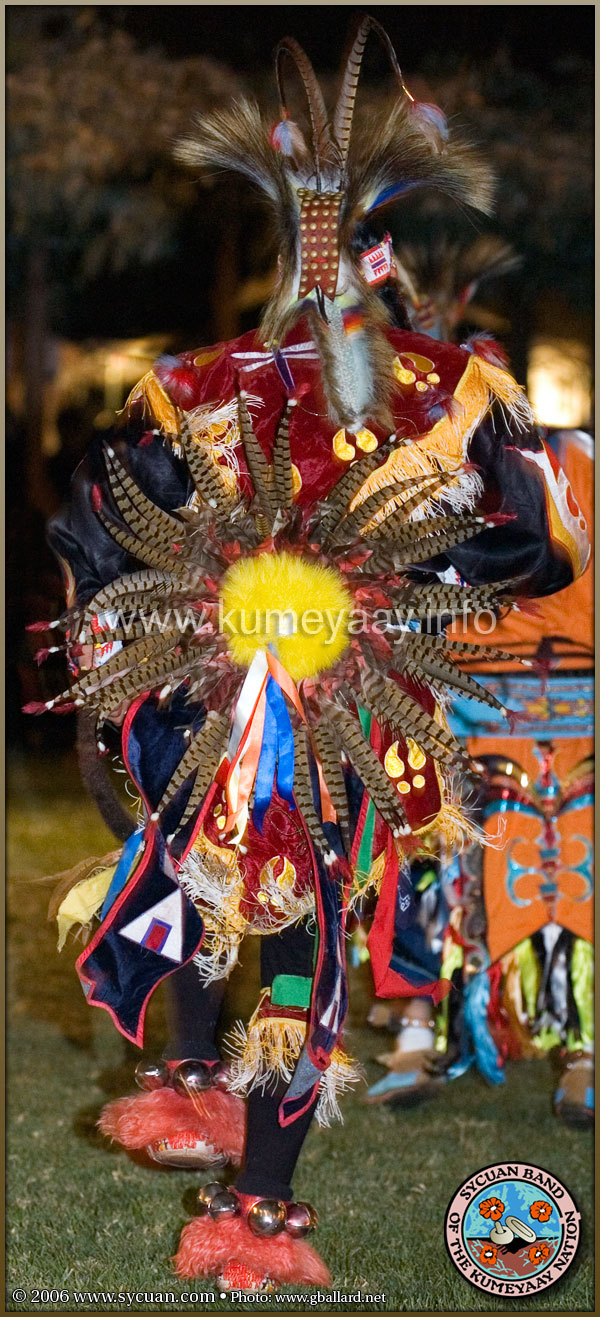 Chicken Dance Powwow Regalia Picture Loading...
