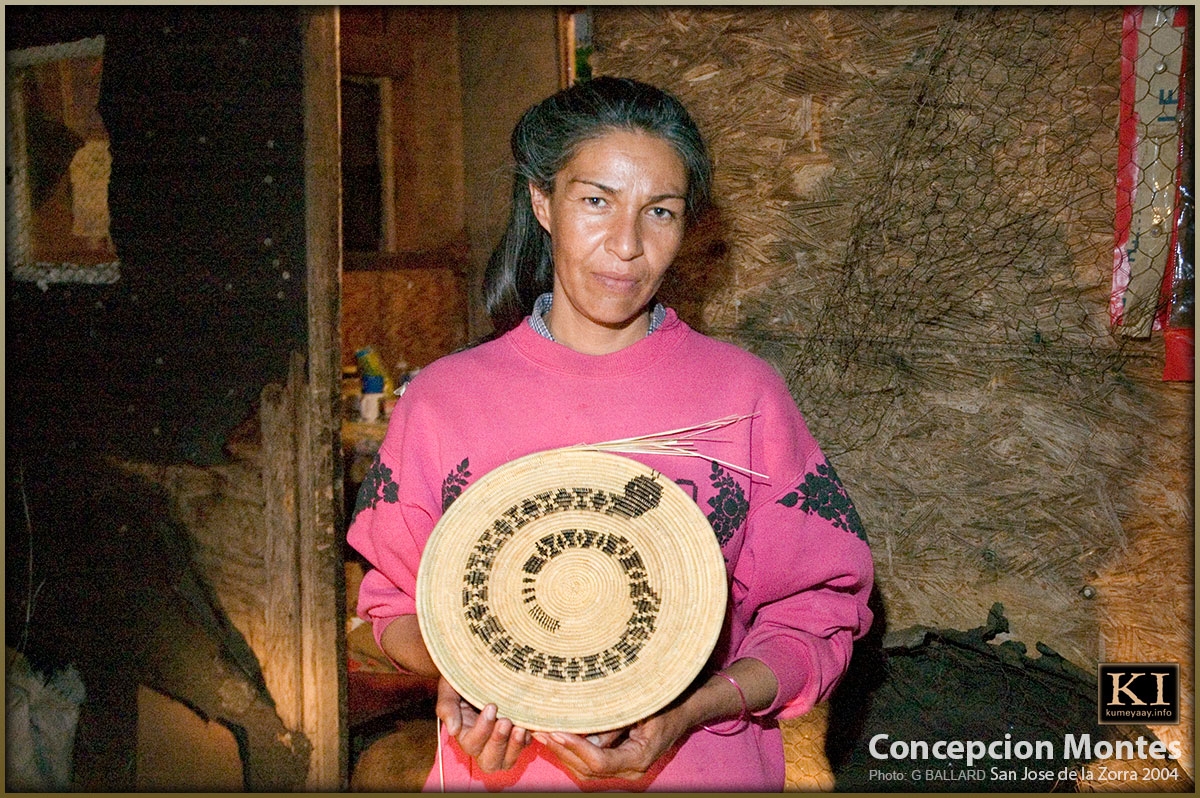 Concepcion Montes Rattlesnake Tribal Basket