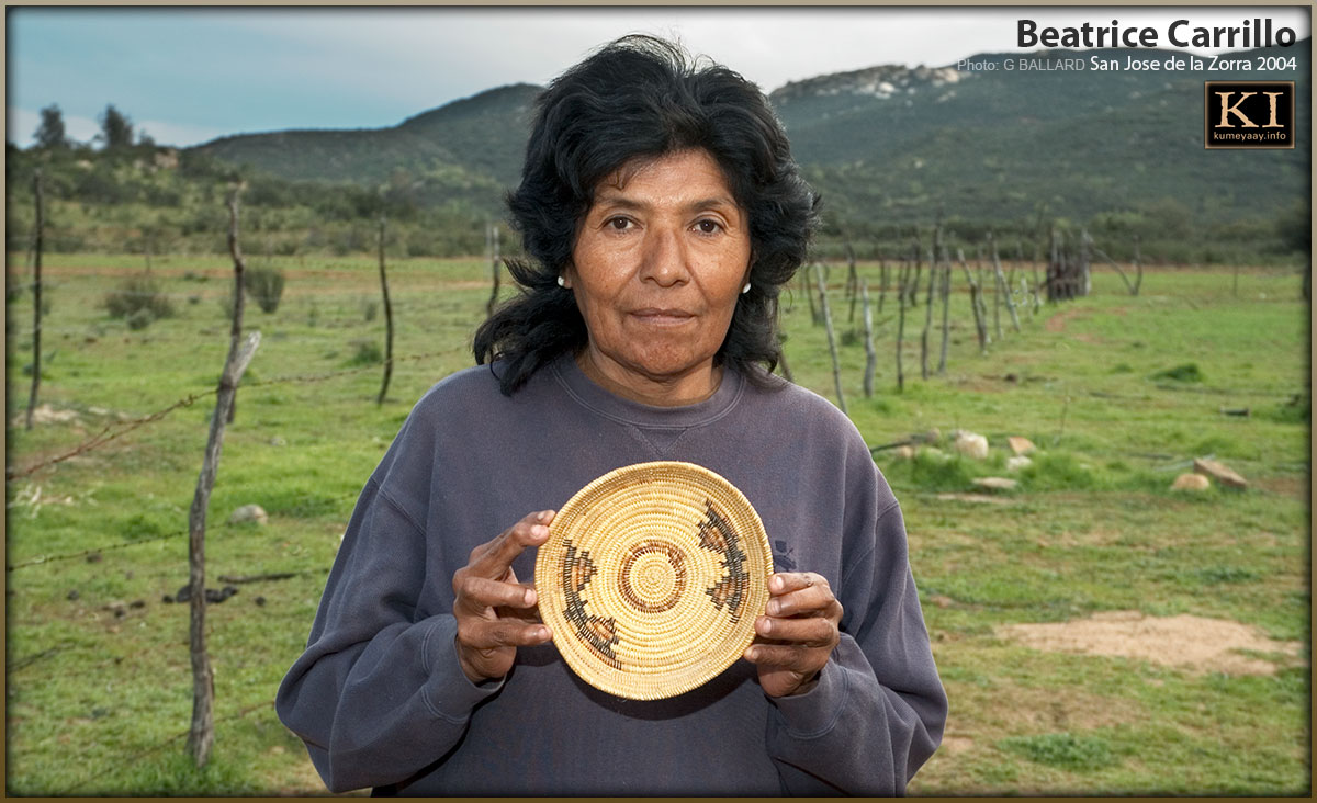 KUMEYAAY INDIAN COILED JUNCUS BASKET WEAVER ENVIRONMENTAL EJIDO PORTRAIT
