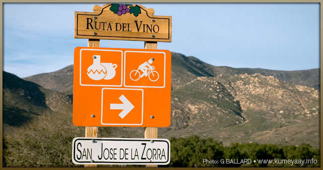 Ruta Del Vino Picture Loading...