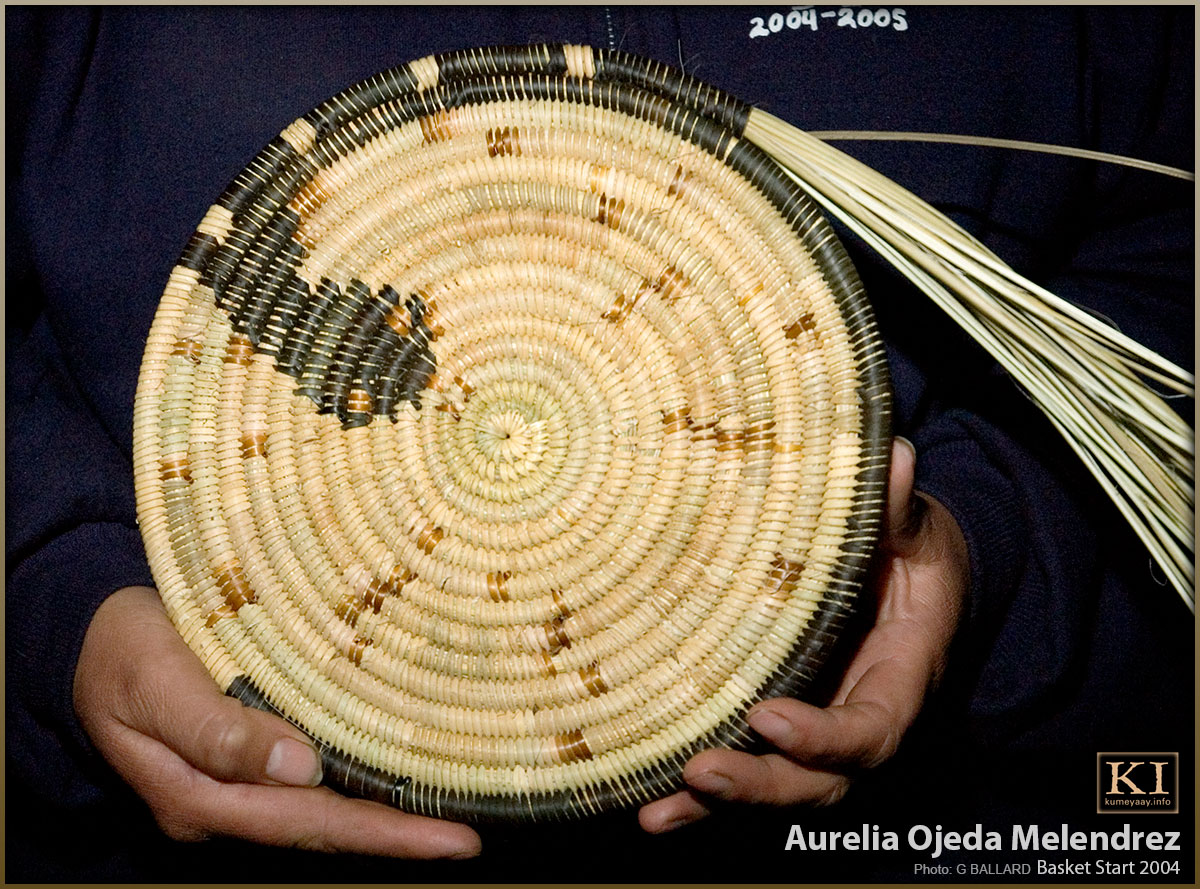 RATTLE SNAKE BASKET START