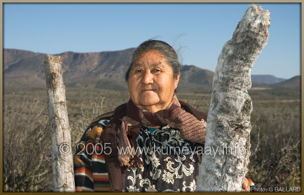 PaiPai Pottery Artist Photos