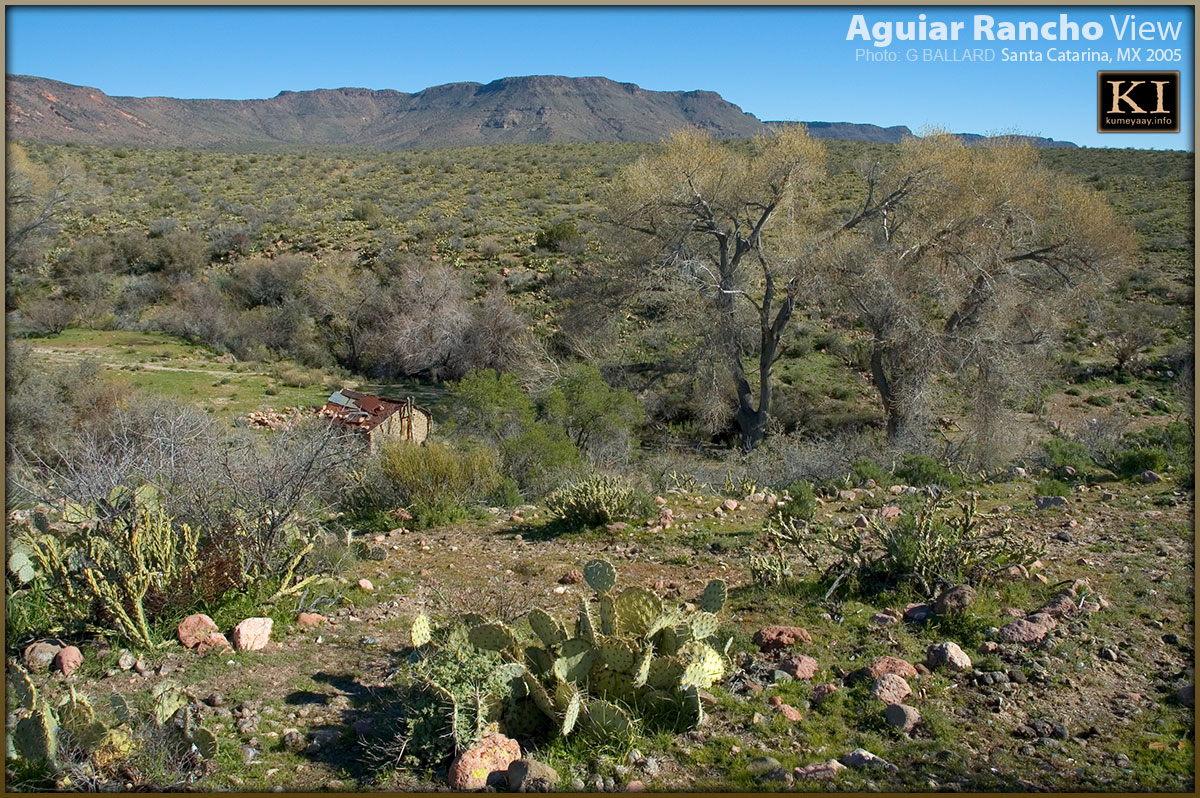 SENIC DESERT LANDSCAPE
